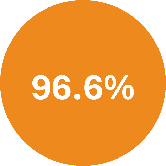 96.6%.png